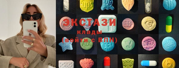 ECSTASY Алзамай