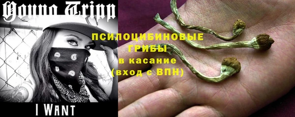 ECSTASY Алзамай