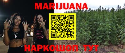 шишки Новозыбков