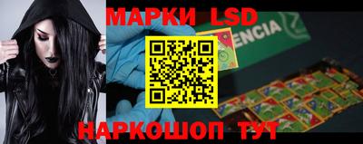 шишки Новозыбков