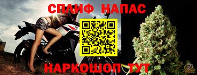 шишки Новозыбков