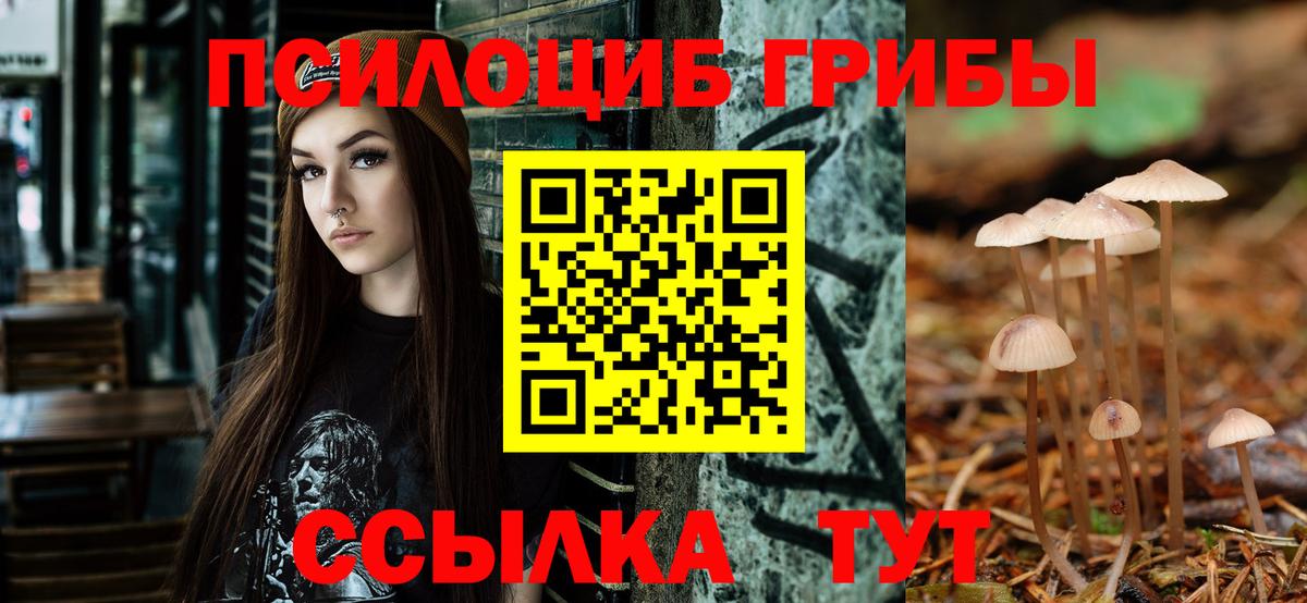 Галлюциногенные грибы мицелий Морозовск