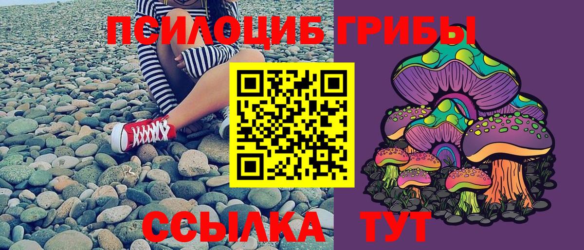 Морозовск  Псилоцибиновые грибы Cubensis  Вход с VPN 